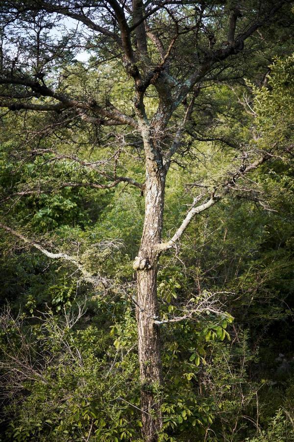 Letamo At Qwabi Private Game Reserve By Newmark Bela-Bela Luaran gambar